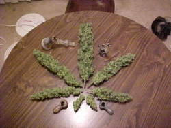 ithinkthetimeis420:  its like a weed pentagram *smokes and bows down to good vibes*