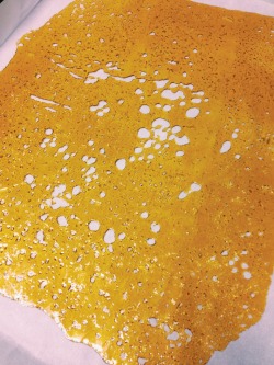 piale:  Happy Shatterday.