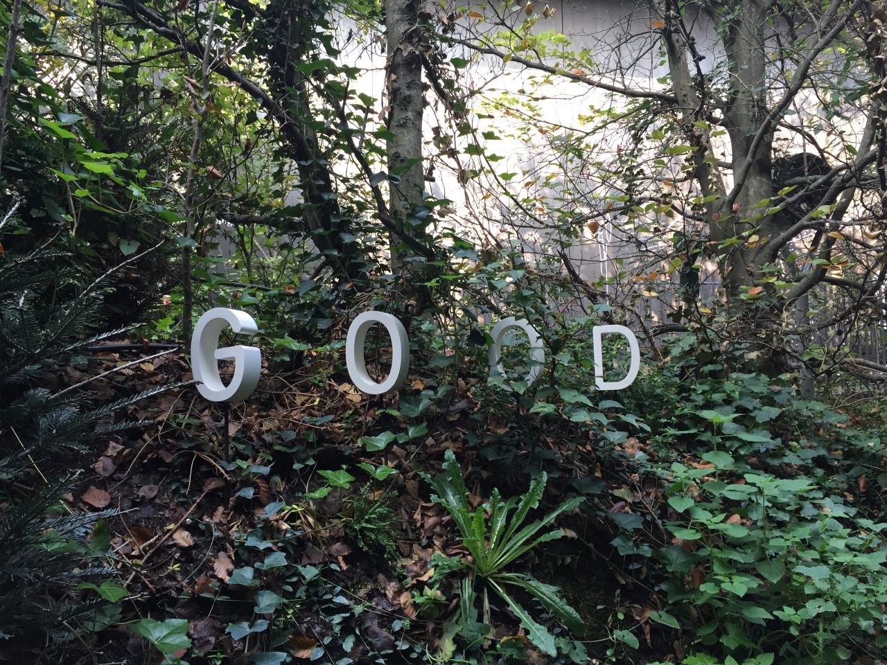 Let's Discover The World