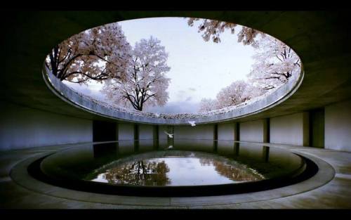 immensities: Naoshima Contemporary Art Museum, Tadao Ando Found it on the internet