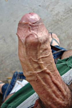 yesforeskin:  Veiny cock - a huge, thick, curved uncut veiny tool 