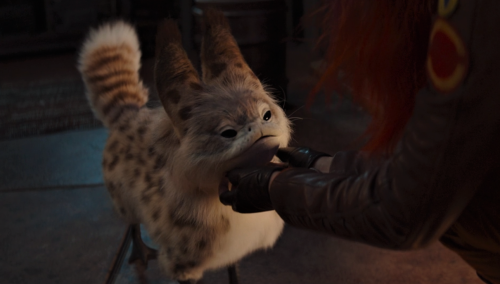 The Loth-cat Content Was Strong Today.