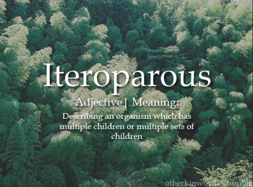 otherkinwords: Iteroparousadjective | Describing an organism which has multiple children or multiple