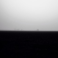 hornbeck:  #bw #bnw #blk #fog #blvck #trees