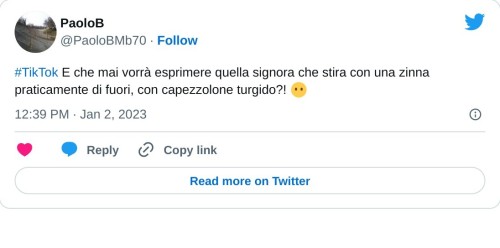 #TikTok E che mai vorrà esprimere quella signora che stira con una zinna praticamente di fuori, con capezzolone turgido?! 😶  — PaoloB (@PaoloBMb70) January 2, 2023