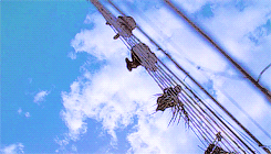 sinfulxsoulsx: God help us, we’re in the hands of engineers.