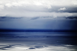 trefoiled:  Anchorage Coast, Alaska by Aliza Razell