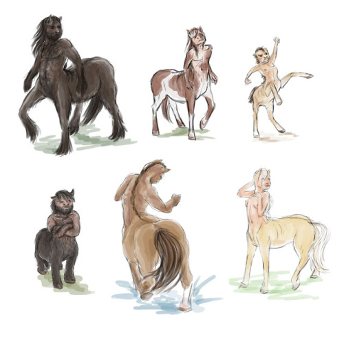 mia-fou: Centaur doodles.I tried to link human and animal traits and I suggested a horse breed for e