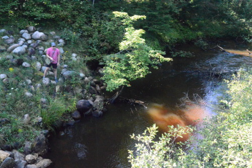 Fishing on the Two Hearted River