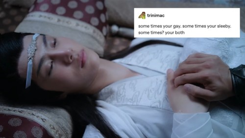 chaoticbiwuxian:The Untamed + text posts part 4