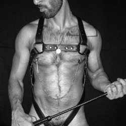 Harness and clamped nipples