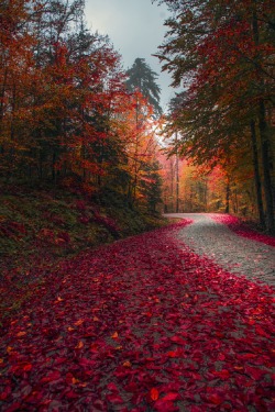 sublim-ature:    Bolu Yedigöler, TurkeyZeki