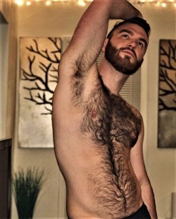 Hairy Armpits Dudes Addict