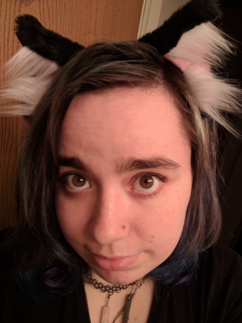 smolestkittenprincess: My ears from @kittensplaypenshop came in today!!! I feel so cute and precious