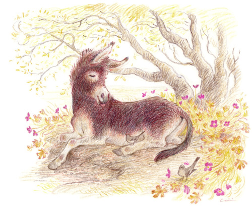 Drawing Ungulates Making This Face Is Like Macaroni And Cheese To My Soul~