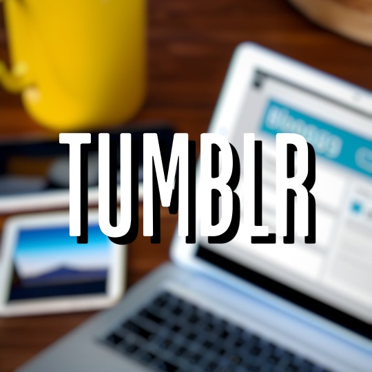 Tumblr media