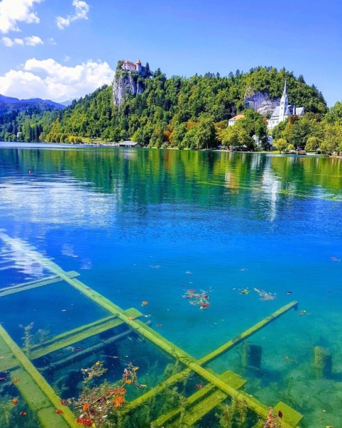 Lake Bled, Slovenia  . . #slovenia #lakebled #bled #lake #slovenia #europe #outstandingplaces #wande