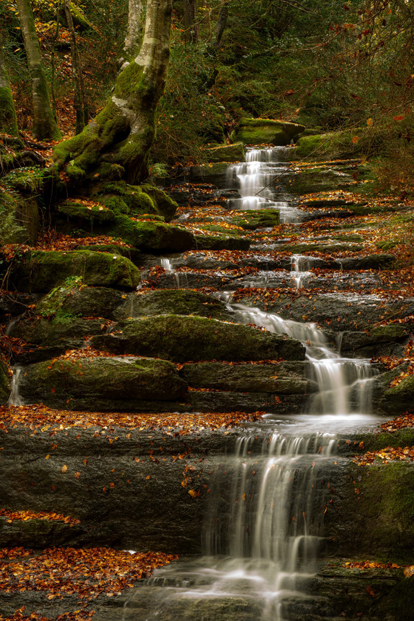 tinnacriss: (via Auttum by Pepi Compte / 500px) 