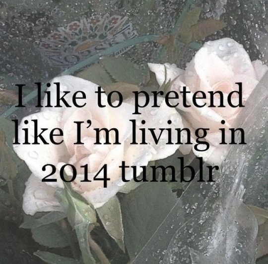 Tumblr media