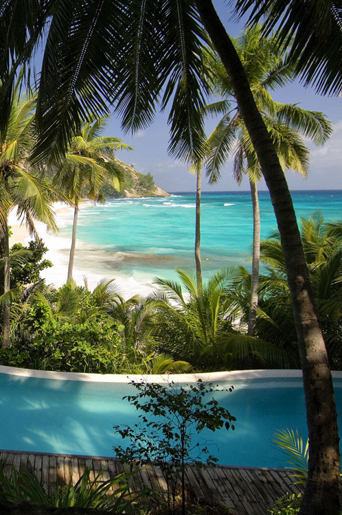 tropicaldestinations:  The Seychelles are definitely one of the world’s most beautiful tropical isla