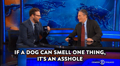 comedycentral:  Seth Rogen was unbeliebably funny on last night’s Daily Show. Click here to watch. 