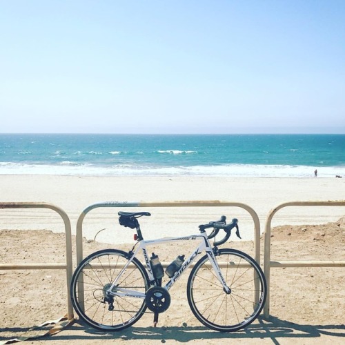 bongconcep: West Coast . . . #cycling #cyclinglife #cyclingphotos #ridleybikes #iphonography #phot