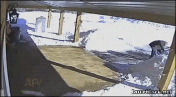 &hellip;. as Canadian I just gotta say&hellip; this is fucking DEMONIC&hellip;