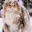 wilt3droseonpaws