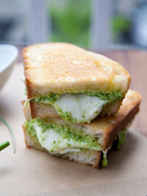 Garlic Scape Pesto and Fresh Mozzarella Grilled Cheese