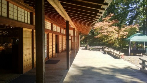 XXX txepvi:  Some more of the Japanese gardens! photo