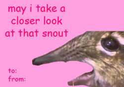 rosedai:  monet-paints-moineau:  rosedai:  monet-paints-moineau:  rosedai:  rosedye:  valentines for u and the bae  wHY THE FUCK DO THESE HAVE SO MANY NOTES IM SO MAD RIGHT NOW  I AM SO HAPPY THIS HAS SO MANY NOTES LET’S KEEP GOING GUYS  NO LETS NOT