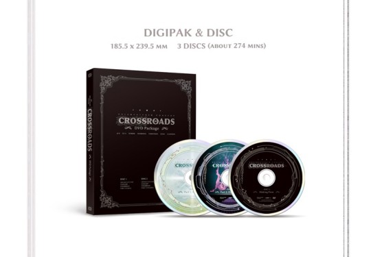 DREAM CATCHER CROSSROADS DVD package
