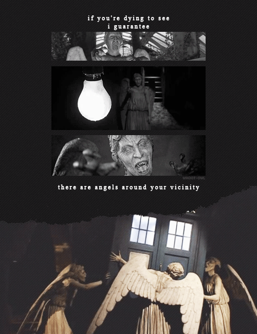 whoot-owl:  Fascinating race, the Weeping Angels. The only psychopaths in the universe to kill you n