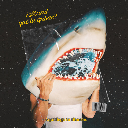 -Yo quiero perrearte y fumarme un blunt.Collage by @yisazcraist / (Shark: Vanity Fair)