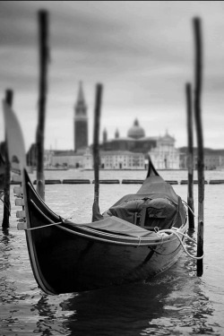 CONOSCI VENEZIA?         NON &hellip; MORIRNE SENZA&hellip; THEWOLF