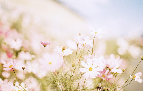 Eudaimonia