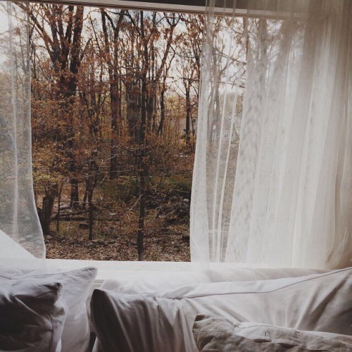 grace–upon–grace:  Alison @crimeofrhyme 