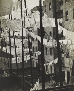 arsvitaest:  Wash Day Author: Consuelo Kanaga (American, 1894-1978)Date: 1937Location: The Jewish Museum of New York 