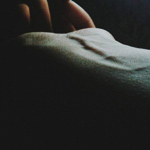 thelastcryofnature:  follow back: thelastcryofnature