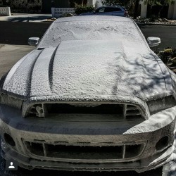 chemicalguys:  Chemical Guys wash time #chemicalguys #carcare #detailersofig #detailersofinstagram #bestproducts #carcare #car #chemicalguysfamily  #teamchemicalguys #followme #success  #instagood #love #detail  #carbonfiber #mustang #ford