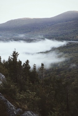 theghostgirls: Early morning in the White Mountains