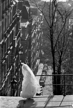 tamburina:Frank Horvat, Paris, 1961