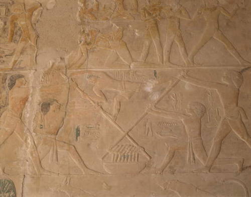 Wine Preparation in Ancient Egypt Detail of a wall carving depicts wine preparation, from the Mastab