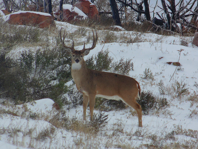 chillypepperhothothot:  You looking at me because I’m looking at you . on Flickr.