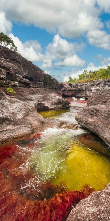 bojrk:  Colombia: Caño Cristales is river located in the Serrania de la Macarena province of Meta. The river is commonly called “The River of Five Colors” or “The Liquid Rainbow” 