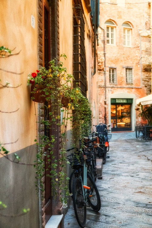 allthingseurope:  Lucca, Italy (by heimann2)