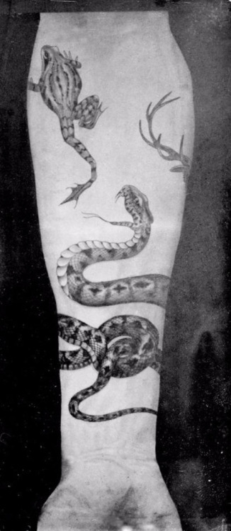 Tattoos by Sutherland Macdonald, late 1800s, England via