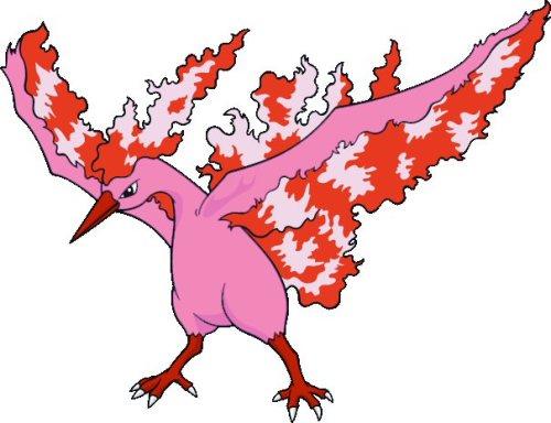 Pokemon Name Resource — Sunburn - shiny Moltres The shiny version really