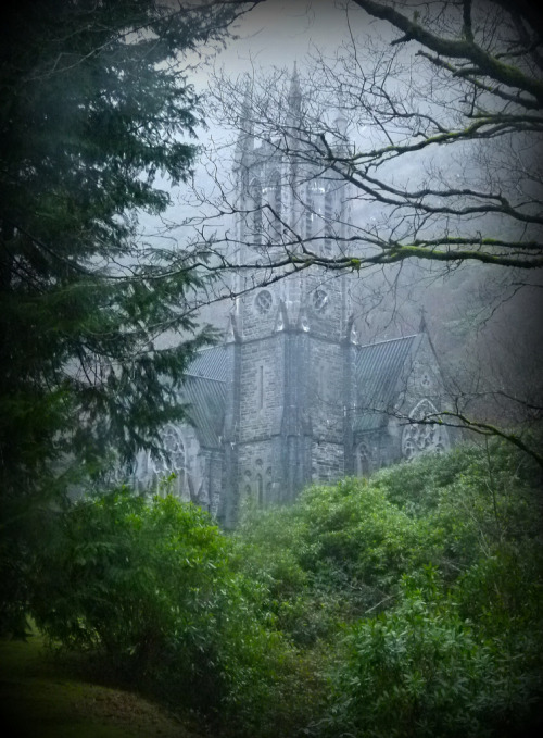 allthingseurope:  Kylemore Gothic Church, Ireland (by Cristina Vettorello)  oh wow!