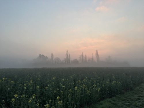 90377:Vale of the White Horse by Homemade